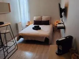 La Bulle de Tours, hyper center, train station in front!