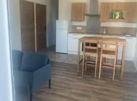 Magnifique maison neuve Mimizan plage proche océan