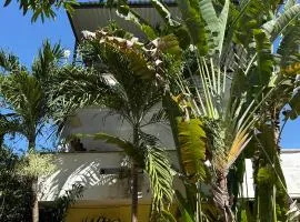 Punta Sol