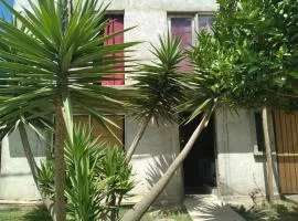 Casas de passed