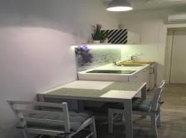 Studio Apartment Sisi