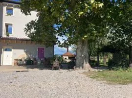 Agriturismo Corte Bonetti - Appartamento Il Platano