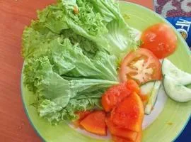 Homestay Dalla