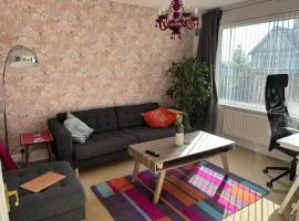 Cosy Flat with Sunny Terrace