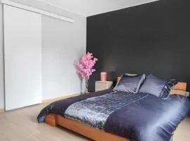 Maison plein pied rénovée Béthune proche gare capacité 4 personnes