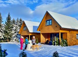 Dream Home Pet-Friendly - Ogród 600m2, Las 10min, khách sạn ở Polanica-Zdrój