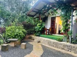 Ella Hide Forest Cottage