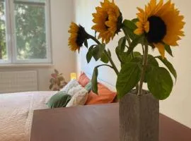 Big apartment - 6 guests - 7 min center