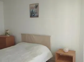 Chez STEF Proche Palais des Congrès, WIFI, Parking privé