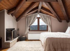 Mons Arachova、アラコバのホテル