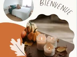 Le Nid Douillet à 1h de Paris-Gare à 5 min à pied, logement entier