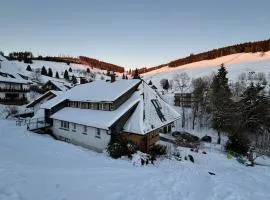 Berghof Almzeit - Fewo "Philosophenstüble", Sauna, Todtnauberg, Feldberg