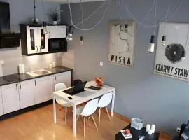 Kopernik-us 2 rooms - Old Town