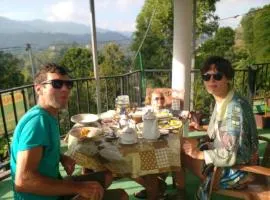 Mountain Top Guest