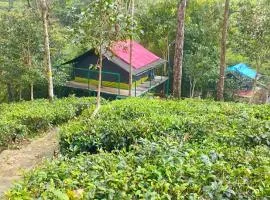 Organic Farmers Tent & Trekking