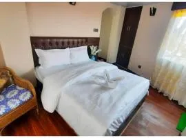 Hotel The OIive Premium Near Gurudwara Guru Nanak Darbar- Valley Mountain View - Wifi - Room Service Available - A Premium Hotel In Darjeeling