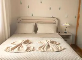 Casa Luxuosa no Coração de Irati