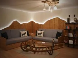 VIDOLICA mountain apartment