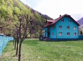 Casa Verde, pensiune din Râu de Mori