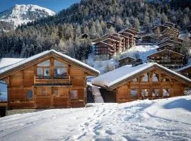 Chalet spacieux 15 pers. à Plagne 1800, au pied des pistes avec jacuzzi et sauna - FR-1-181-2791