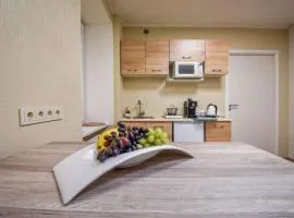 A cozy apartment with private entrance in the city centre