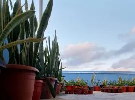 Bob Apartments