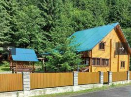 Лісова тиша Сімейні номера, hotel in Synevyrsʼka Polyana