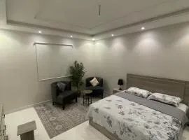 Apartment with bedroom, living room and courtyard C-1