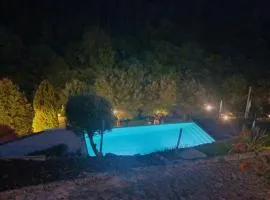 Quinta do ribeiro