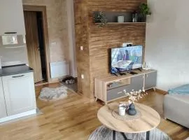 Apartman Havjar Zlatibor