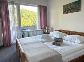 Wald Hotel, hotel in Kirschweiler
