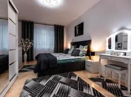 Luxury Riverside Apartment Băile Herculane