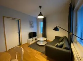 Modern Apartment for 3 with Sauna
