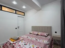 Sunny Home Apartment