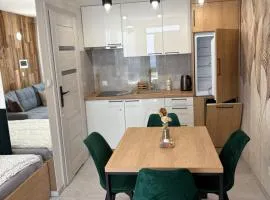 Szczyrk Apartament Dziupla - Słoneczna Góra dla 4 osób