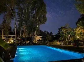 Fortuna suite Banus 2
