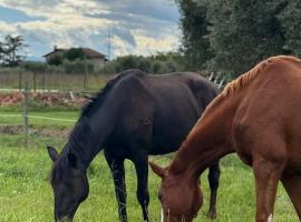 Ca' dei lecci, hotel in Tuoro sul Trasimeno