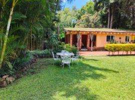 Portal Azahualco Bungalow close to the mountain，迪坡斯特蘭的木屋
