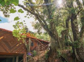 caba&ntilde;as cruz verde, chal&eacute; alpino em Pinal de Amoles