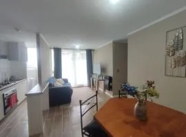 Departamento valle volcanes, Puerto Montt