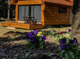 Cabana Pequeno Bosque som dás Águas, ξενοδοχείο σε Sao Joaquim