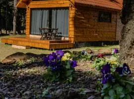 Cabana Pequeno Bosque som dás Águas