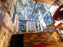 Cabana Pequeno Bosque Refúgio dás Águas