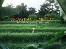 Nongtao Homestay