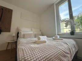 M&S Apartments - St Gallen City - 5 min Bahnhof