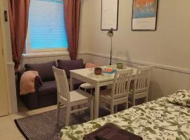 Levistar studio with sauna