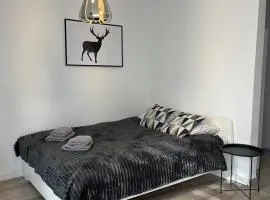 Apartament Fibra Americano