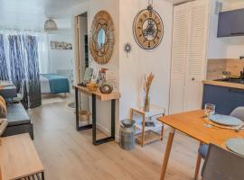 L'Appart'Mans -charmant-studio-centre ville-2 pers, hotel in Le Mans