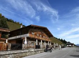 Unique alpine pasture in the Zillertal mountains