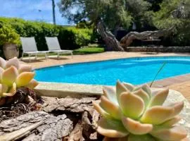 Hermanus Self-Catering